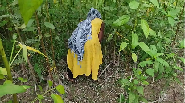 घास काटने गई थी मेरे देवर ने खेत में चोद दिया सलवार सूट पहने जमकर चोदा